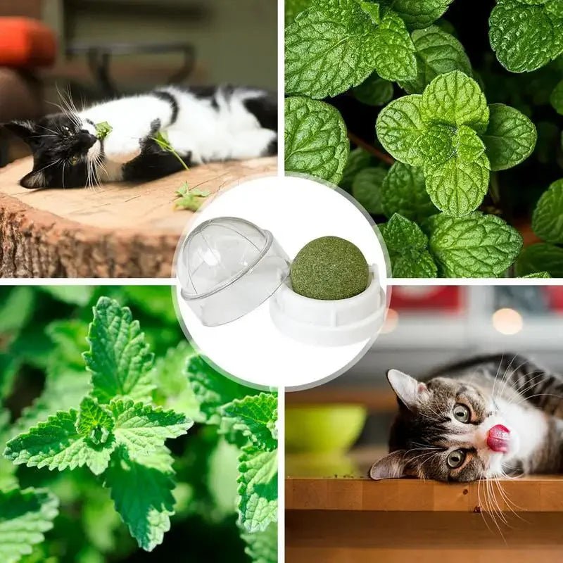 Cats Snack Pet Toys Kitten Licking Candy Clean Mouth Promote Digestion Mint Balls Supplies Home - OnlineshopLand